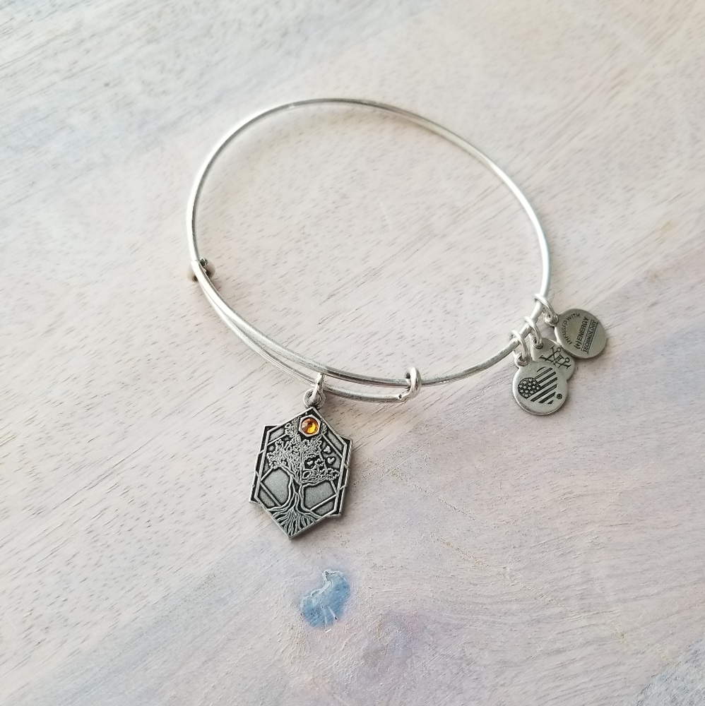 Silver Alex and Ani Tree of Life Charm Bangle